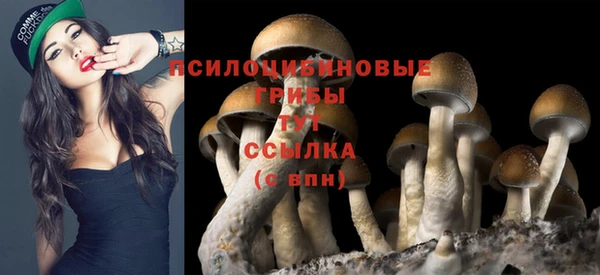 кокаин премиум Инсар