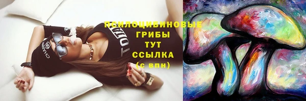 винт Инта