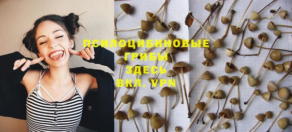 винт Инта