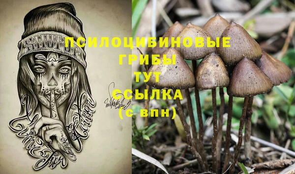 гашик Заволжье