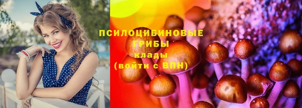 Альфа ПВП Заводоуковск