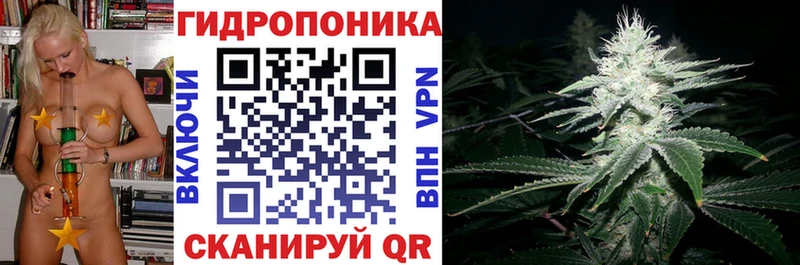 Марихуана OG Kush продажа наркотиков Златоуст